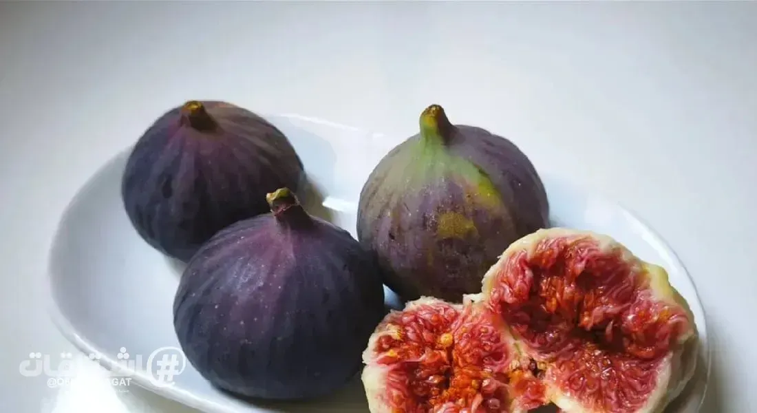 هل التين مناسب لمرضى السكري؟