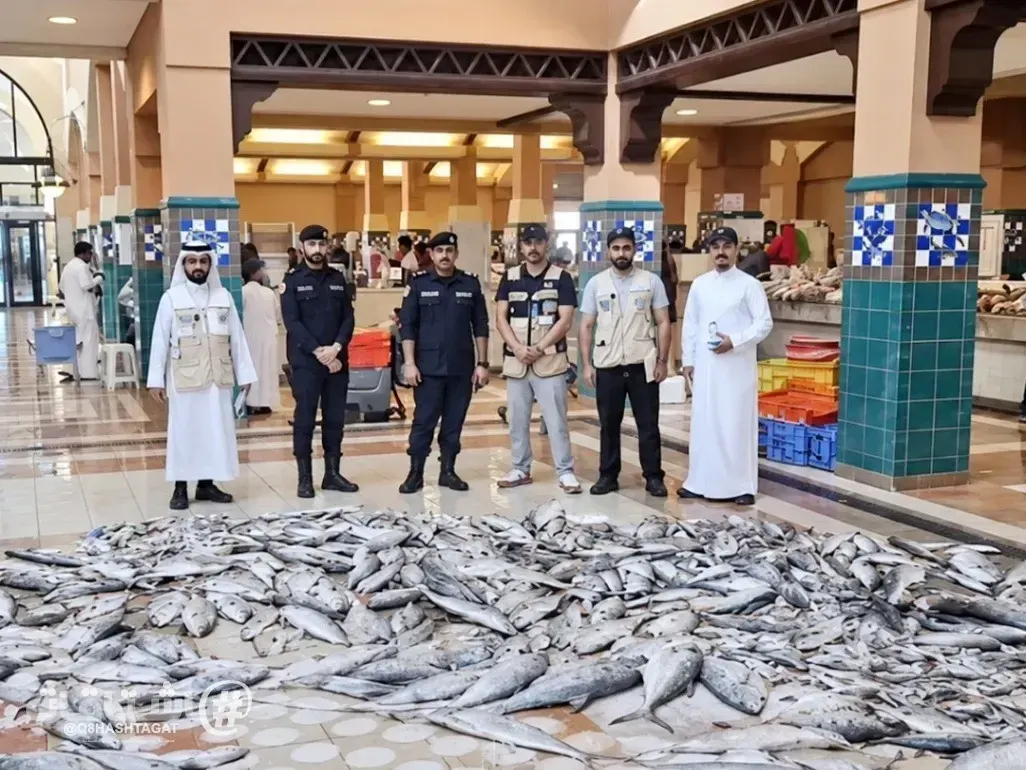 هيئة الغذاء: إتلاف 500 كيلو من الأسماك و25 كيلو من المواد الغذائية في الأحمدي