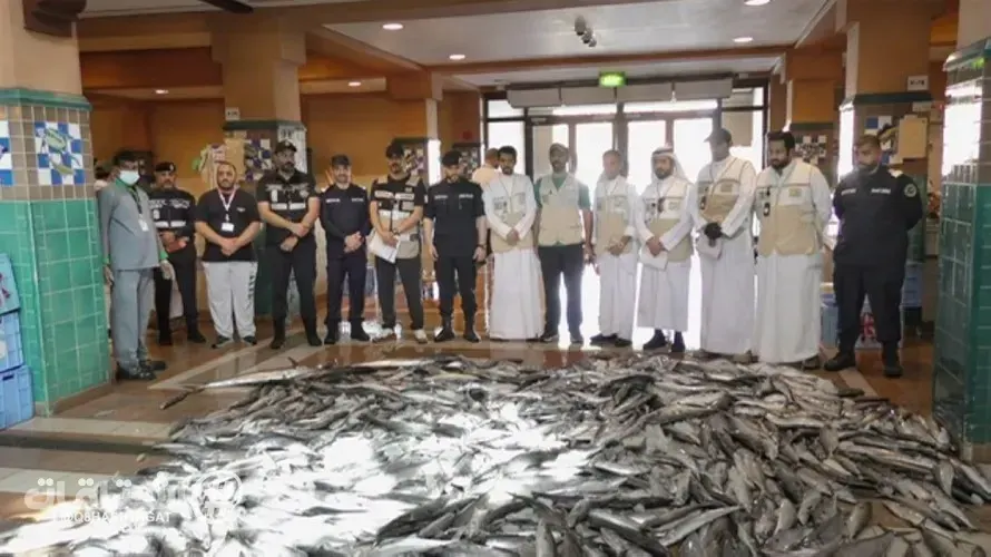 «هيئة الغذاء»: إتلاف 773 كغم أسماك فاسدة و4 مخالفات لعدم الالتزام باشتراطات النظافة في الفحيحيل