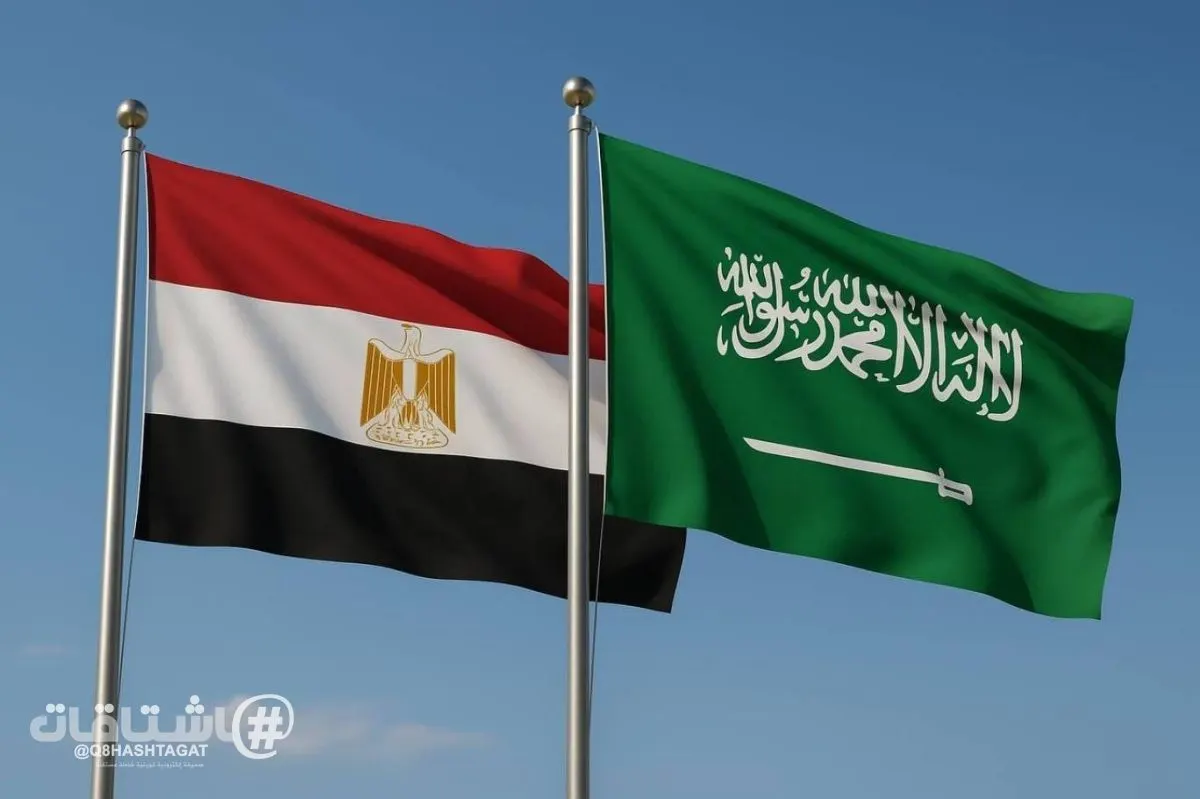 مصر والسعودية تؤكدان ضرورة الحفاظ على حرية الملاحة في البحر الأحمر وباب المندب
