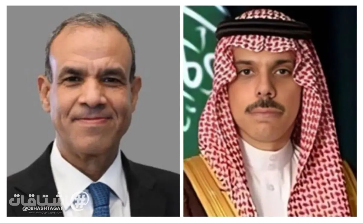 وزيرا خارجية مصر والسعودية يبحثان العلاقات الثنائية وتطورات الأوضاع الإقليمية