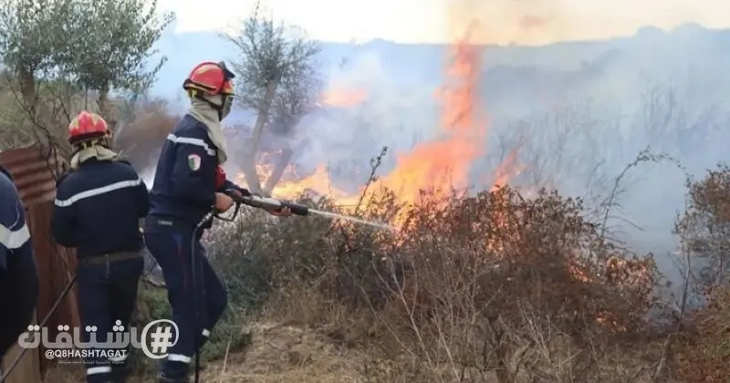 الجزائر: وفاة 12 شخصاً جراء حرائق الغابات في بعض الولايات الشرقية