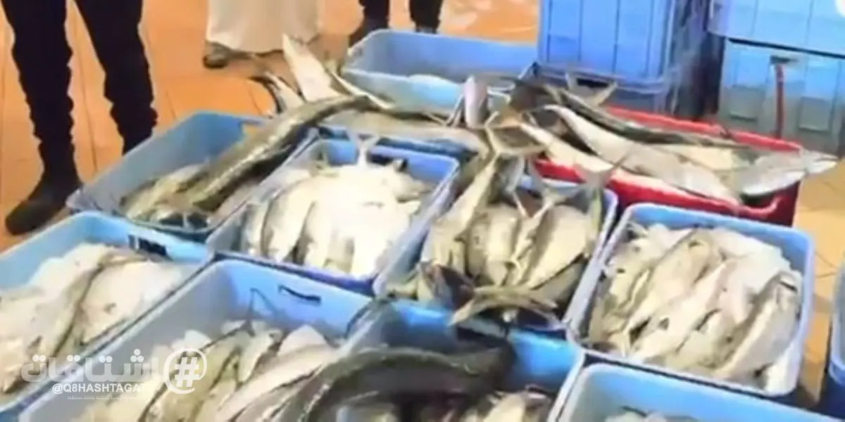وزارة الداخلية: ضبط 773 كيلوغراماً من الأسماك الفاسدة في الأحمدي