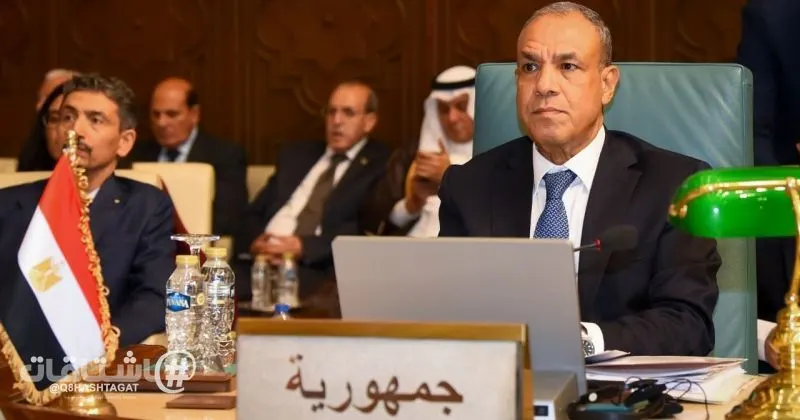 عبدالعاطي يؤكد أهمية بلورة رؤية عربية لمواجهة التحديات
