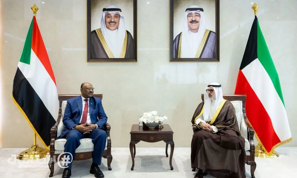 وزير الخارجية يبحث ونظيره السوداني تعزيز العلاقات بين البلدين